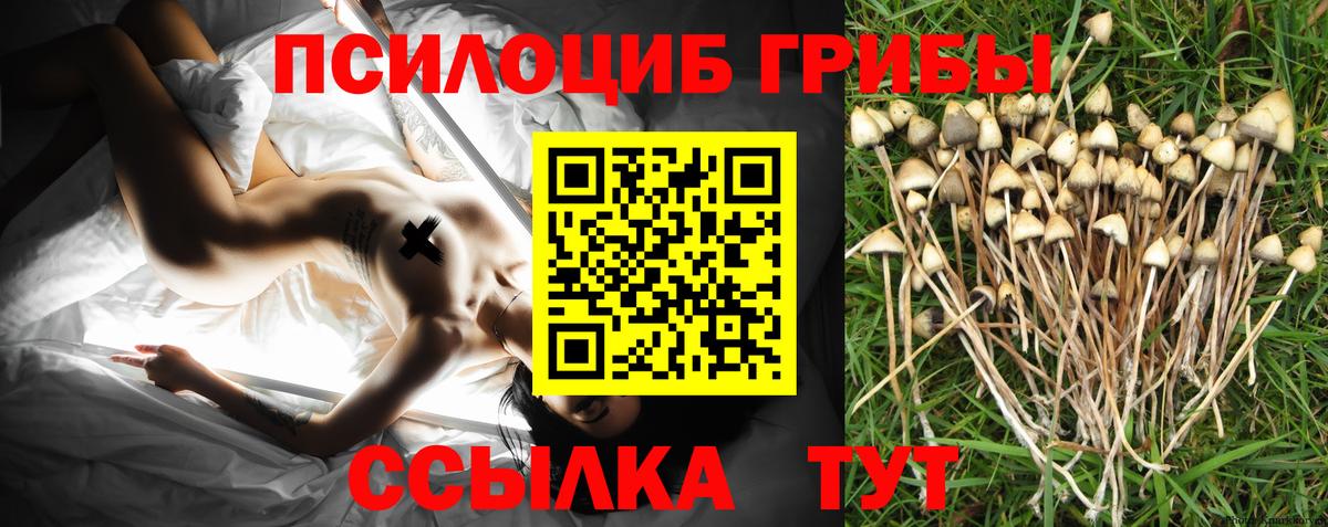 Галлюциногенные грибы мухоморы Медногорск