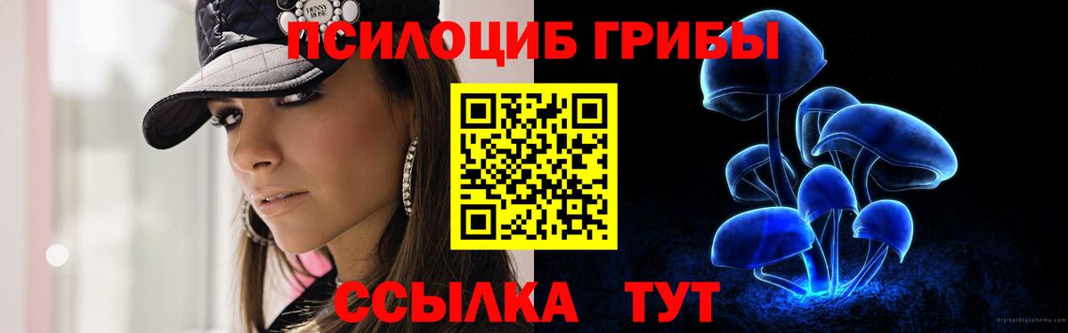 Медногорск  купить наркотик  Вход с VPN  Псилоцибиновые грибы MAGIC MUSHROOMS 